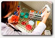 laboratorium